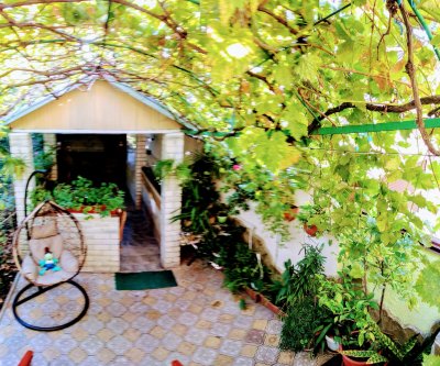 Сдаётся дом с садом и отдельным двором в спальном районе Гурзуфа: Гурзуф, Коммунальная улица, фото 4