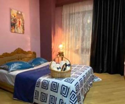 2-комнатная квартира, улица Илия Абуладзе, 20: Тбилиси, улица Илия Абуладзе, фото 4